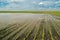 Agricultural disaster, flooded soybean