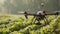An agricultural drone in the fields