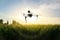 Agricultural drone flies over the corn field
