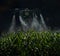 Agricultural drone sprays a corn field at night time, the concept of modern agriculture