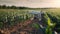 Agricultural drone technology at work in a cornfield, with soft morning light