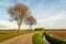 Agricultural Dutch polder landscape in autumn with a plowed field and two bare trees next to a curved country road. It is a sunny