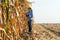 Agricultural expert inspecting quality of corn