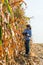 Agricultural expert inspecting quality of corn