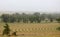 Agricultural Farmland in Montana with Plowed Crop Rows