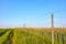 Agricultural field boundary wire fence against the blue sky at sunset