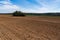 Agricultural field,brown soil farm landscape.Line of arable land