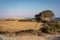 Agricultural field on Cyprus coastline in Cape Greco area.