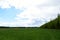 Agricultural field. Forest, village, houses. Green field of young grass, flowers. Blue sky with