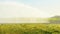 Agricultural field with an irrigation sprinkler irrigating dry land in sunlight at sunrise in an early spring morning