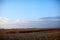 Agricultural field with partly harvested maize