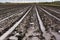 Agricultural field after the rain, deeply plowed before sowing seeds, California, early Spring