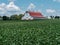 Agricultural Field and Red Roof Barn