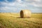 Agricultural field. Round bundles of dry grass in the field