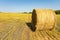 Agricultural field. Round bundles of dry grass in the field against the blue sky. farmer hay roll close up.