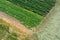 Agricultural field from top view