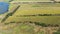 Agricultural fields aerial view. Sunflower fields near the pond