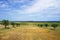 Agricultural fields, Alentejo region