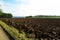 Agricultural fields, Amsterdam surroundings, Holand