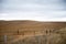 Agricultural Fields in the District of Orroroo