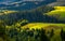 Agricultural fields on a forested hills