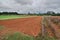 Agricultural fields in New South Wales. Cudgen. Tweed Valley. Australia