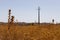 Agricultural fields in the outskirts of Madrid in the Valdemoro area. The fields are dry and suffering from the heat in mid Summer