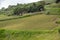 Agricultural Fields in Trapani Region