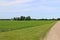 A agricultural grass lined dirt road horizon view with farm green trees and bright blue overcast sky perfect for seasonal