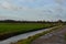 Agricultural grassland on a cloudy day in winter. In the foreground a field edge in the back remains of a watermill