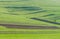 Agricultural green landscape at springtime