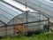 Agricultural greenhouse