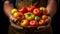 Agricultural hands showing harvested heirloom tomatoes