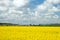 Agricultural hangar and wind turbine in rapeseed field
