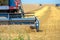 Agricultural harvester mows wheat