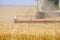 Agricultural harvester mows wheat