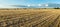 Agricultural hay field with bales. Sunset light and blue sky. Panoramic view.