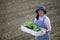 Agricultural image, Japanese middle woman