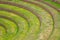 Agricultural Inca circular terraces in Sacred Valley, Moray, Sacred Valley, Peru, South America