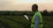 Agricultural industry. A male farmer with a digital tablet in a field at sunset. Agronomist uses technologies in the