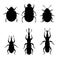 Agricultural insect pests