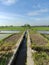 agricultural irrigation for rice fields