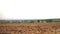 Agricultural land prepared for plantation of agricultural plants and crops - Image