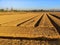 Agricultural Land Ready for Planting