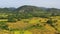 Agricultural land with sown green fields in countryside.