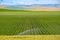 Agricultural land in Walla Walla, Washington wine country