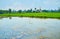 the agricultural lands, paddy-fields and small water tanks, Ava