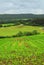 Agricultural landscape