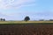 Agricultural landscape, arable crop field.