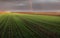 Agricultural landscape, arable crop fields